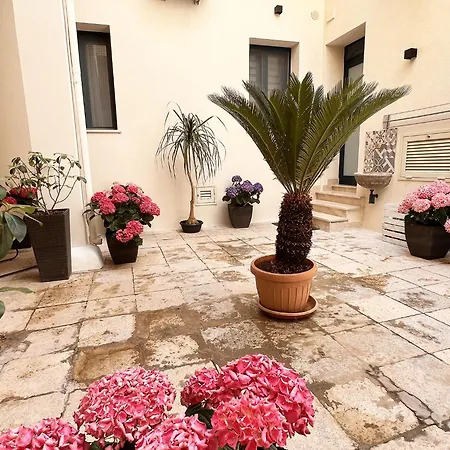 Nova Domus Appartement