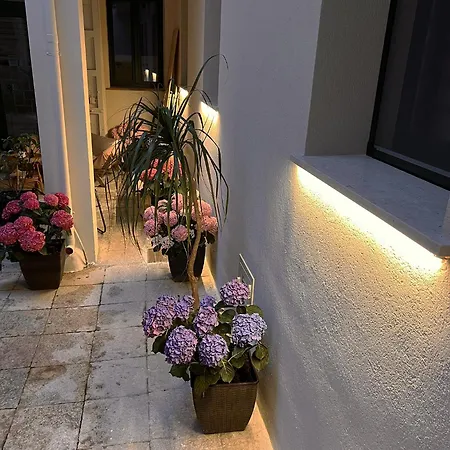 Nova Domus アパート